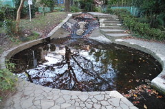 2014/11/15_鴨川みずべの里