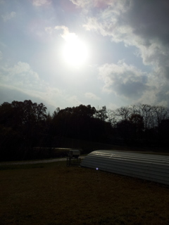 2016/11/13_三内丸山遺跡の空