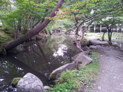2016/07/16_盛岡城跡公園（岩手公園）鶴ケ池