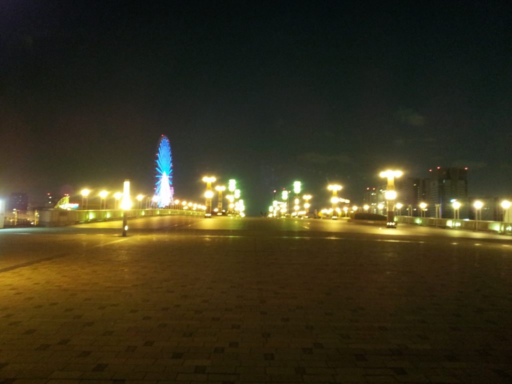 2014/01/01_夜の夢の大橋とパレットタウン大観覧車