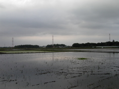 2017/05/27_水田の曇天