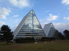 2016/12/10_埋没林博物館に空