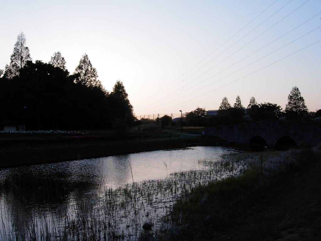 2017/04/23_花の丘農林公苑の夕暮れ