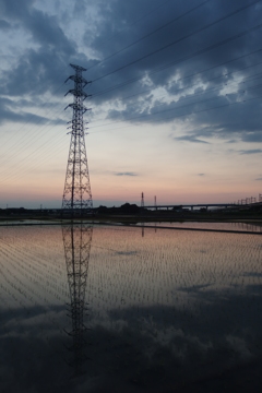 2016/06/05_水田の夕暮れ