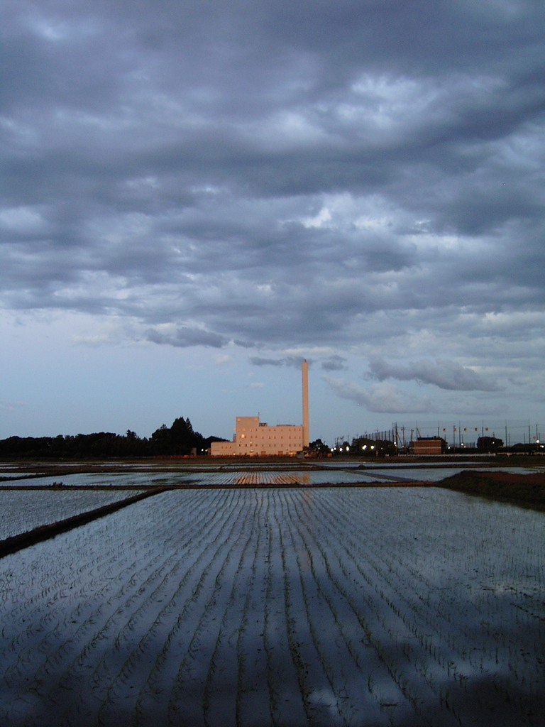 2017/06/04_水田に雲と夕日を浴びる伊奈町クリーンセンター