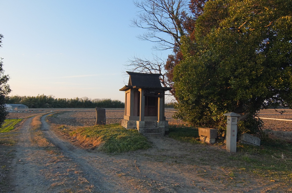 2014/03/08_畑の中の神社
