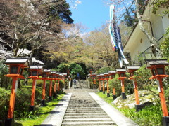 2019/04/13_鞍馬寺 参道