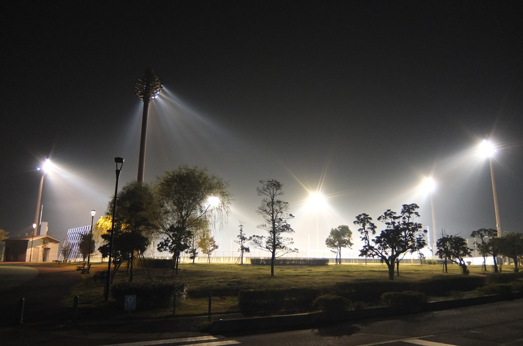 2014/11/22_夜の上谷総合公園