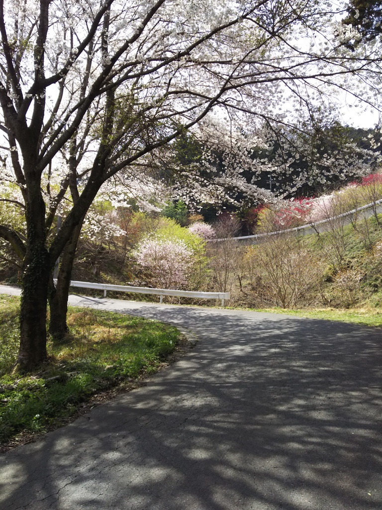 2018/04/01_春の外秩父