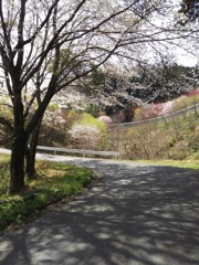 2018/04/01_春の外秩父