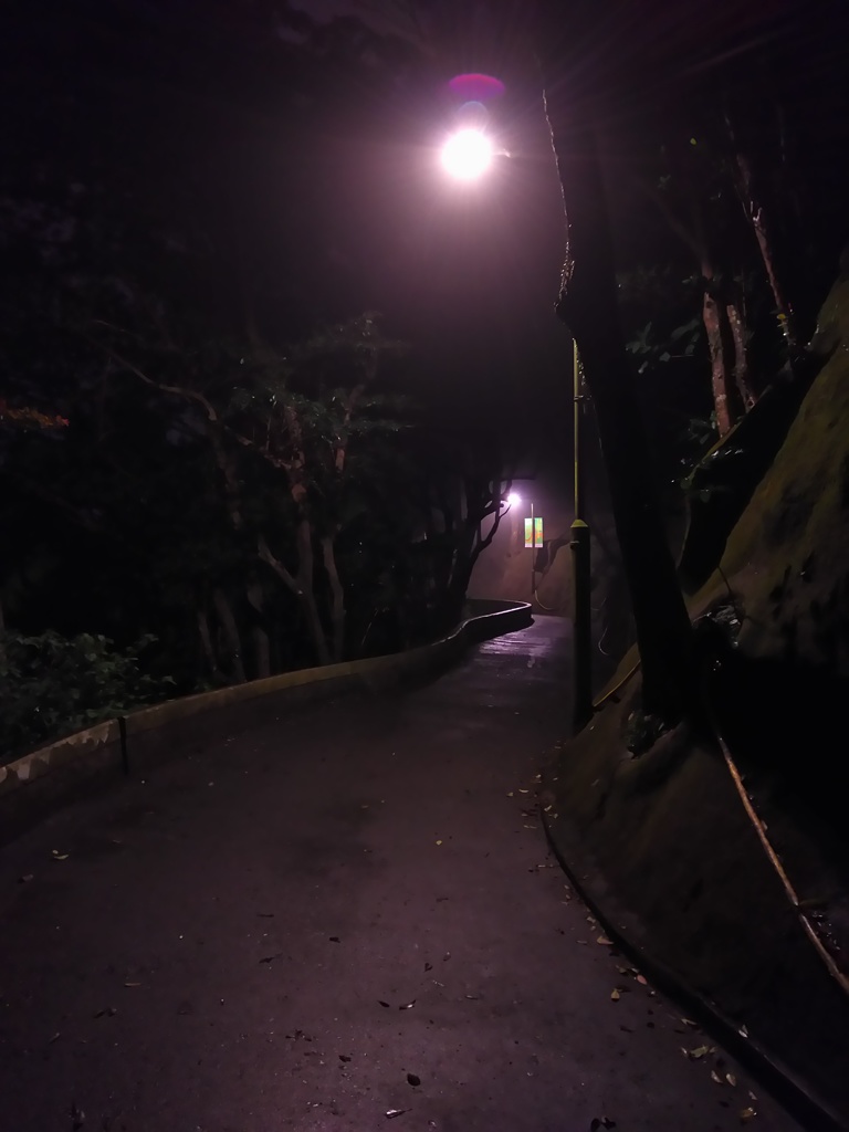 2017/03/12_ビクトリア・ピークの夜道