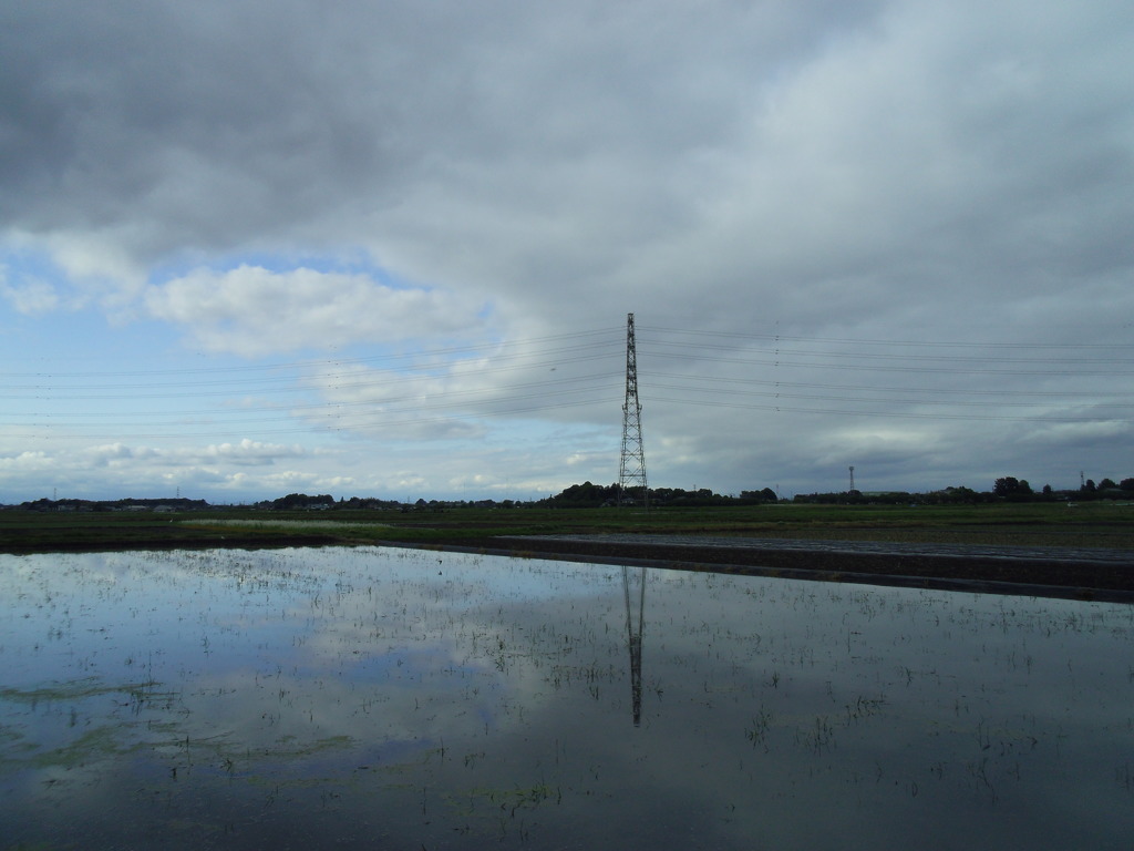 2017/05/14_水田の晴れ間