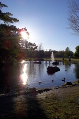 2015/11/03_岩槻城址公園