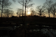 2015/02/11_ホタルの里