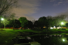 2015/12/30_夕暮れの西城沼公園