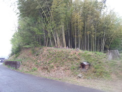 2019/04/14_竹藪の丘陵と小さな地蔵堂