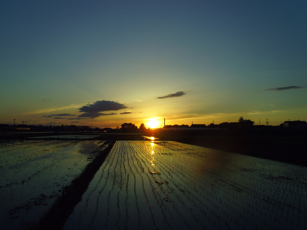 2017/06/03_水田の夕暮れ