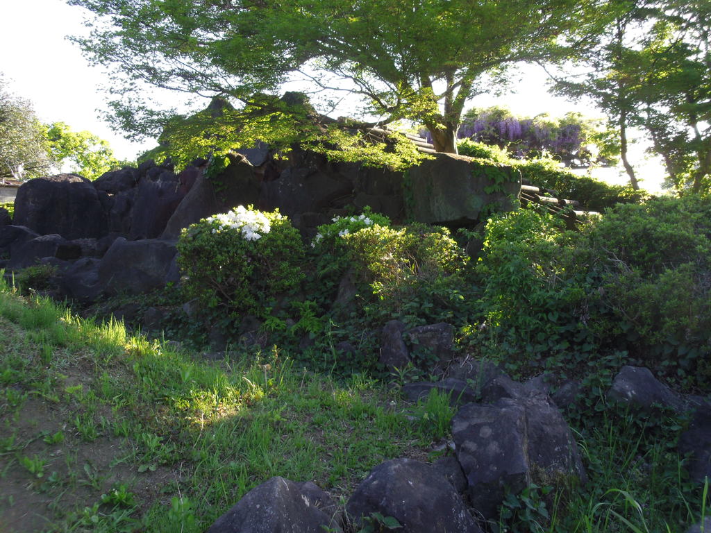 2017/05/04_鎮守の森公園