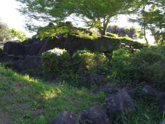 2017/05/04_鎮守の森公園
