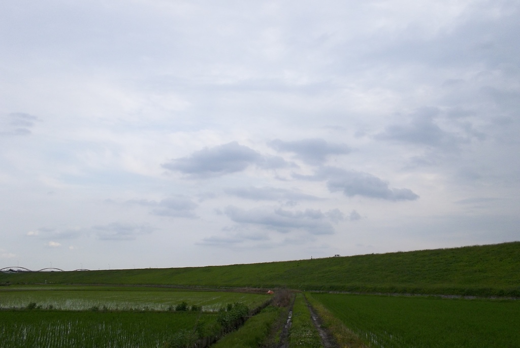 2015/06/20_曇天の荒川堤防