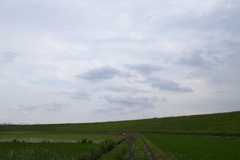 2015/06/20_曇天の荒川堤防