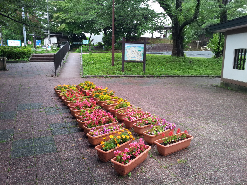 2016/07/17_高松公園の花壇