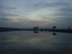 2016/11/20_溜め池の夕暮れ