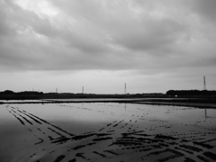 2017/05/27_水田の曇天