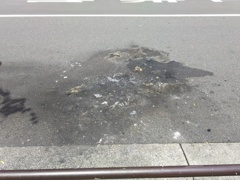 2017/07/03_現場