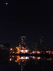 2017/04/03_夜の上野公園（没カット）