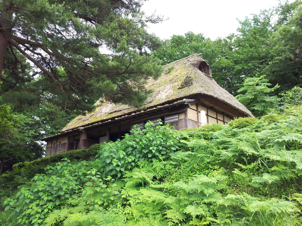 2018/06/16_魚津歴史民俗博物館 旧沢崎家住宅
