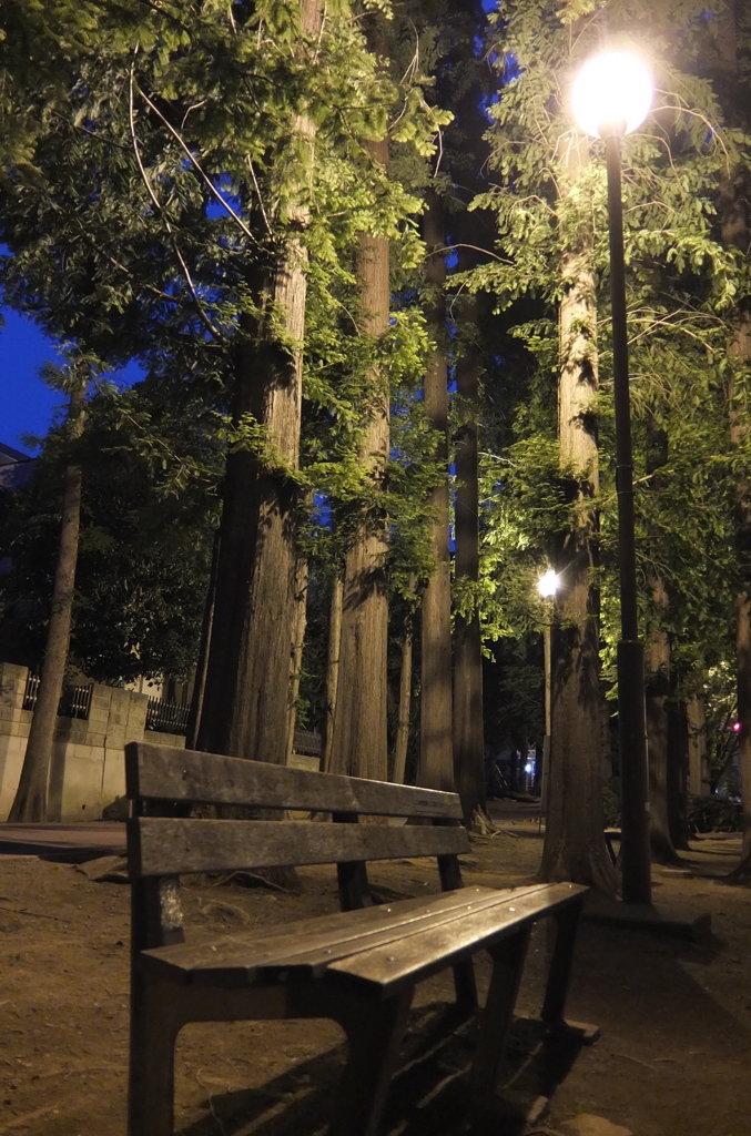 2014/05/24_夕暮れの別所沼公園