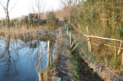 2015/02/11_ホタルの里