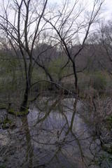 2016/03/26_北本自然観察公園