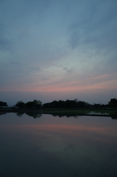 2016/05/01_水田の夕暮れ