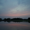 2016/05/01_水田の夕暮れ