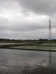 2017/05/27_水田の曇天