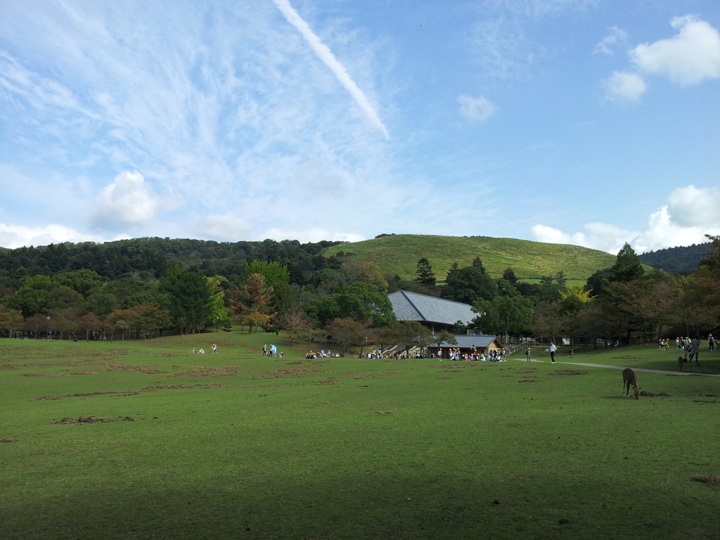 2016/10/18_奈良公園 春日野園地と若草山
