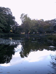 2015/11/03_岩槻城址公園