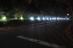 2015/10/31_夜の東部工業団地