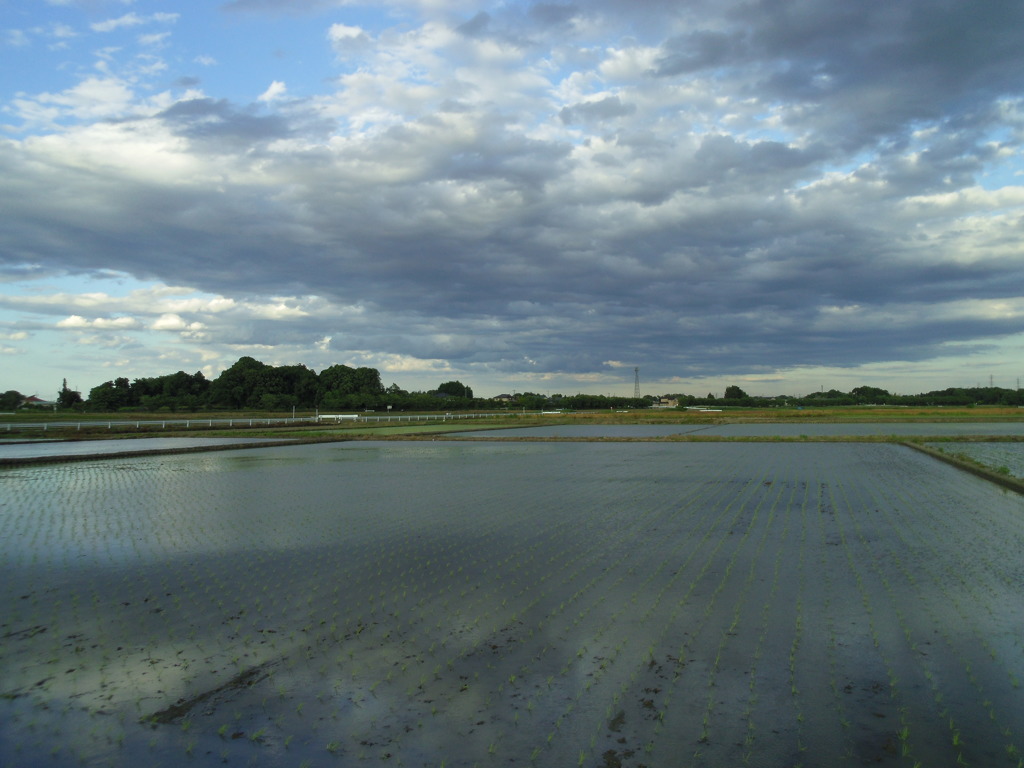 2017/06/04_水田に雲