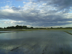 2017/06/04_水田に雲