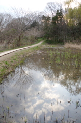 2016/03/26_北本自然観察公園