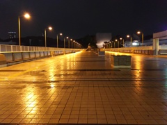 2016/11/21_夜、雨上がりのパンダ橋