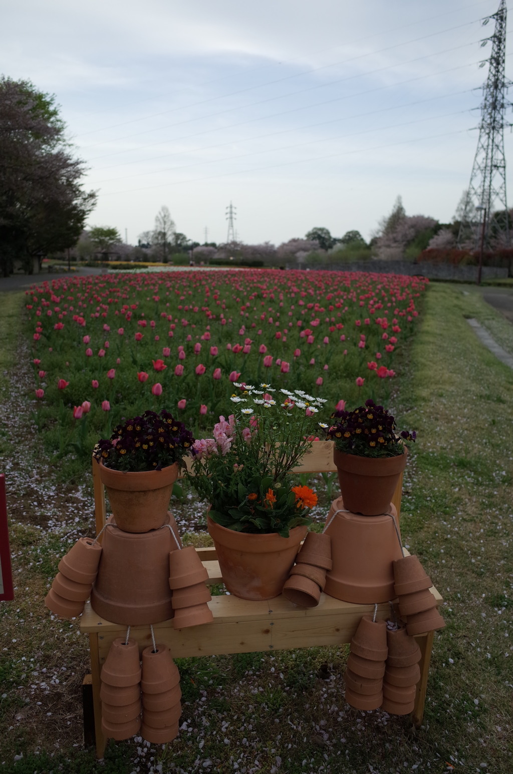 2016/04/09_花の丘農林公苑のチューリップ