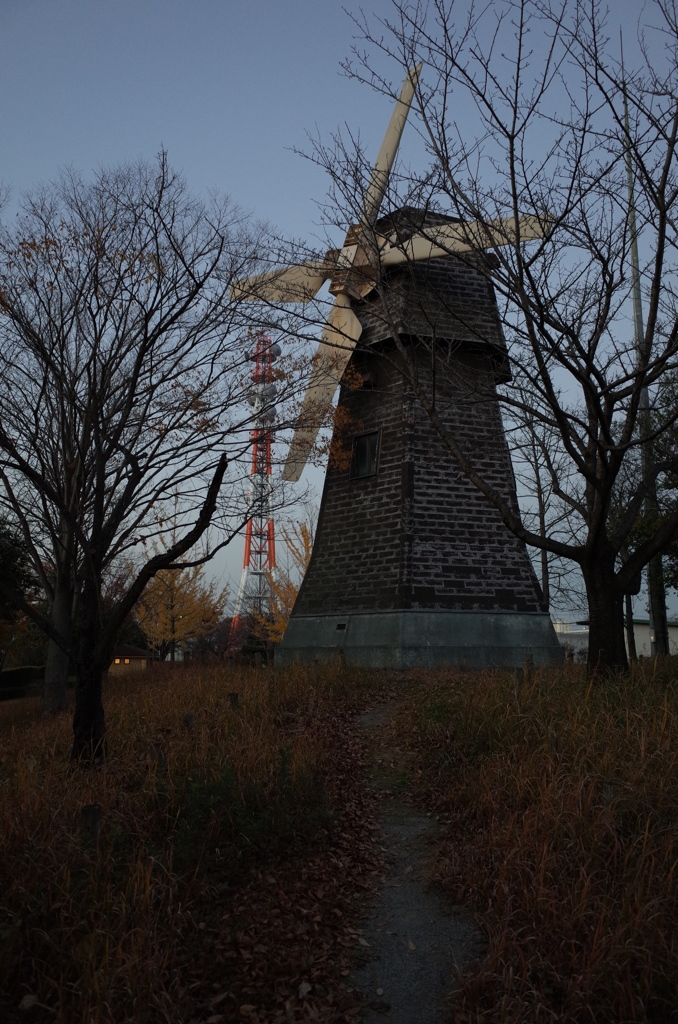 2014/11/22_見沼元圦公園