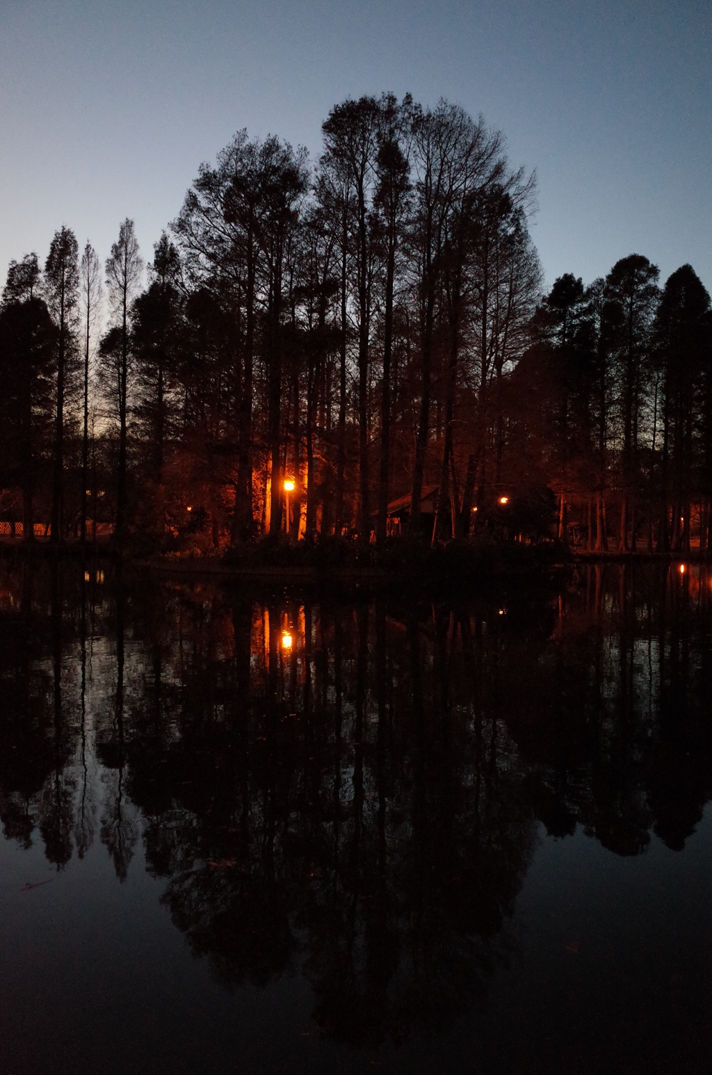 2014/12/14_夕暮れの別所沼公園