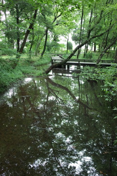 2015/07/05_伊奈町制施行記念公園
