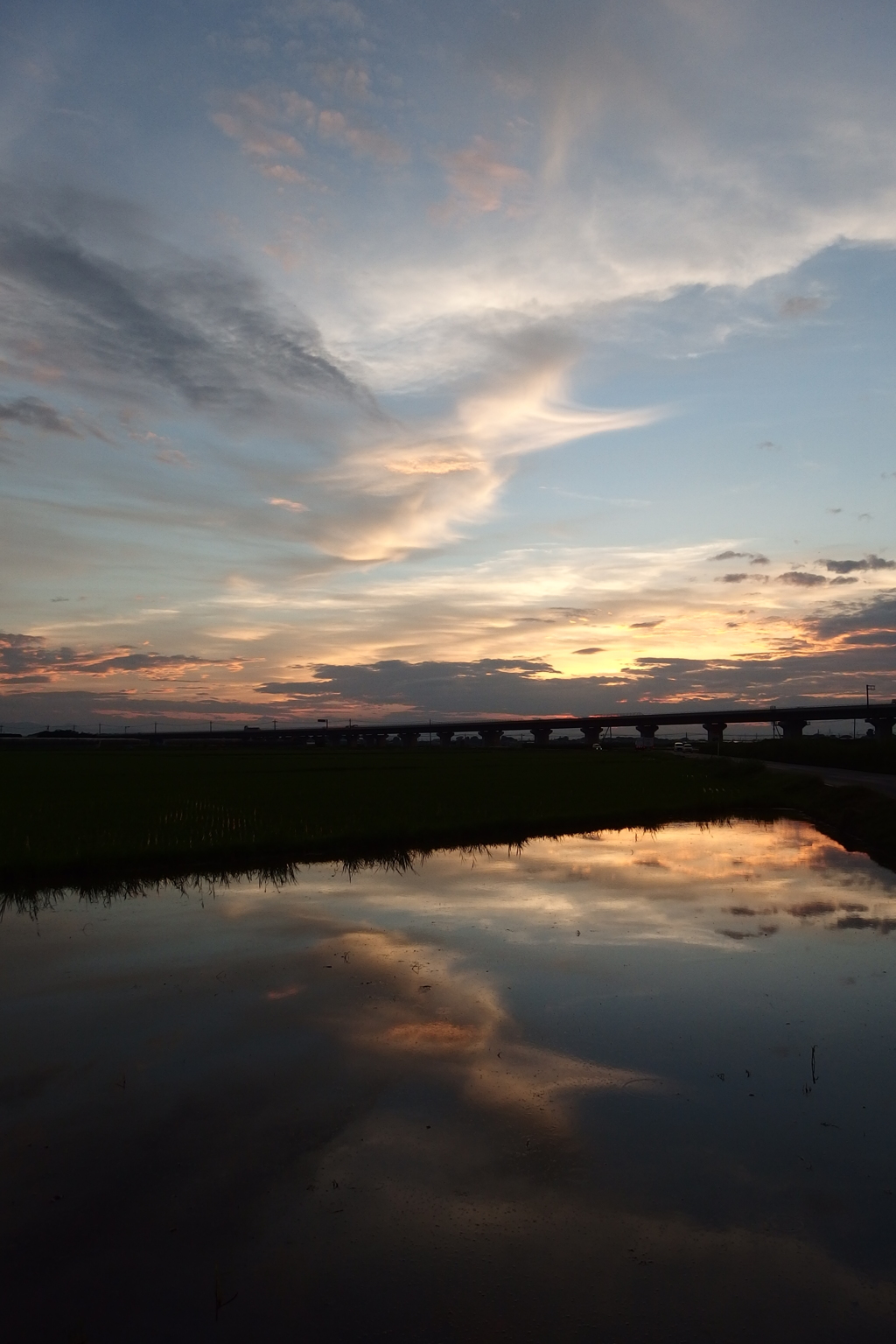 2015/07/19_水田の夕暮れ