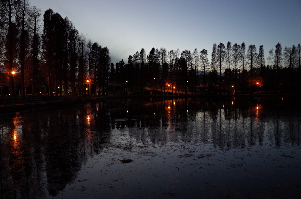 2014/12/14_夕暮れの別所沼公園